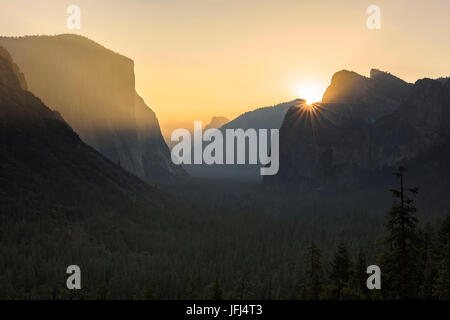 Lumière dorée dans le parc national de Yosemite, aux États-Unis, en Californie Banque D'Images