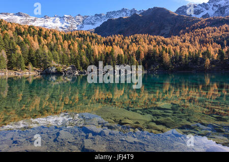 L'automne à Lago di Saoseo, Suisse, Canton des Grisons, Poschiavo Banque D'Images