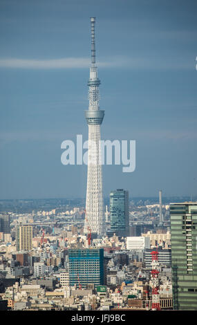 Le Japon, Tokyo Skytree, Tour de la ville, Banque D'Images