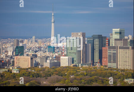 Le Japon, la ville de Tokyo, les jardins du Palais Impérial, Skyline, et Otemachi Skytree Tower Banque D'Images