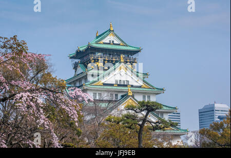 Le Japon, Kansai, Osaka, Osaka Castle Banque D'Images