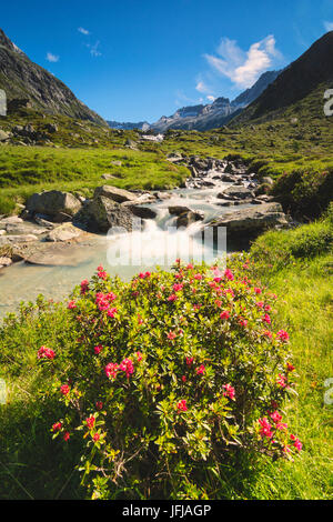 L'Europe, Italie, Adamè Valley dans le parc de l'Adamello, province de Brescia Banque D'Images