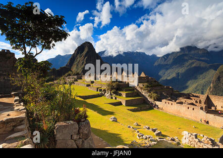 Célèbre site archéologique de Machu Picchu dans la région de Cuzco, la Province d'Urubamba, Machupicchu, Pérou, Amérique du Sud Banque D'Images