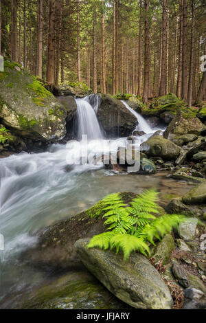 Lutago/Luttach, Vallée Aurina, Tyrol du Sud, Italie, le Pojen Creek dans la vallée Aurina Banque D'Images