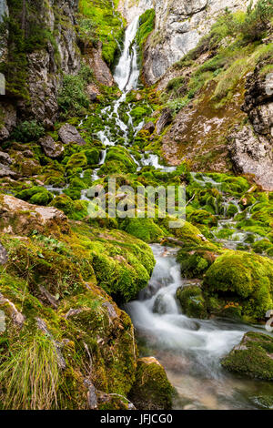 L'Europe, Italie, Trentin-Haut-Adige, Province de Trente, Cascade de Vallesinella, Banque D'Images