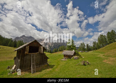 Plateau de pentecôte Croda Rossa ses granges sur herbe verte en été, Val Fiscalina, fischleinvalley, le Tyrol du Sud Banque D'Images
