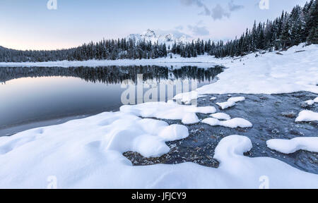 Woods et des sommets enneigés se reflètent dans Palù lac au crépuscule de la Valteline Zone Val Malenco de Lombardie Italie Europe Banque D'Images