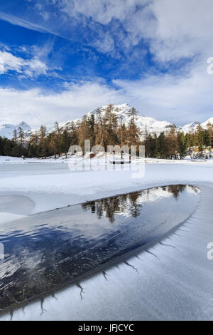Des sommets enneigés et des bois se reflètent dans Lej Marsch partiellement congelée Maloja Canton des Grisons Engadine Suisse Europe Banque D'Images