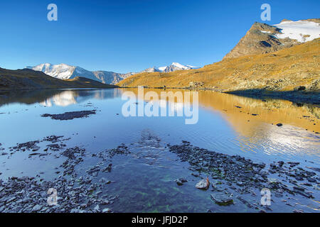 L'Levanne montagne au lever du soleil, parc national du Gran Paradiso, Alpi Graie Banque D'Images