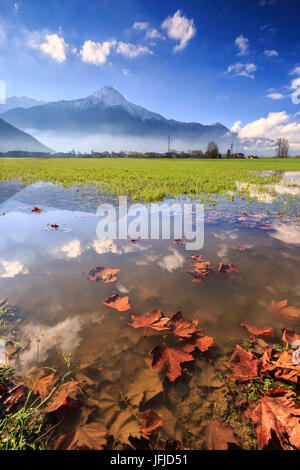 La réserve naturelle de Pian di Spagna inondé avec le Mont Legnone reflète dans l'eau la Valtellina Lombardie Italie Europe Banque D'Images