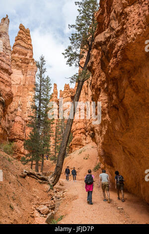 Randonneurs sur le sentier en boucle Navajo, Bryce Canyon National Park, Garfield County, Utah, USA, Banque D'Images