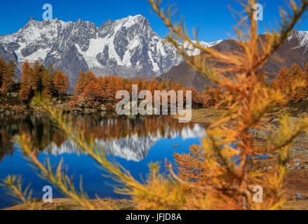 La grande Jorasses enrobée depuis l'Automne, lac Arpy, Courmayeur, Val d'aoste, Italie, Europe Banque D'Images
