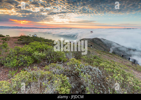 Golden Gate Bridge avec brouillard matin tourné au lever du soleil à partir de la vingtaine d'Hill, San Francisco, comté de Marin, en Californie, USA, Banque D'Images