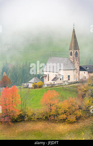 Église entourée par des arbres d'automne et de la brume, Santa Maddalena, Funes, Bolzano, Trentin-Haut-Adige - Sudtirol, Italie, Europe, Banque D'Images