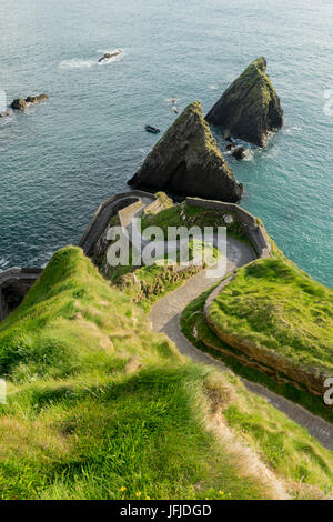 Route de la jetée de Dunquin, Dunquin, péninsule de Dingle, Co, Kerry, Irlande, Europe, Banque D'Images