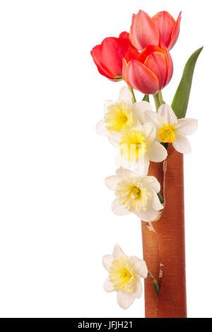 Tulip et narcisse fleurs dans vase décoration liège de bouleau Banque D'Images