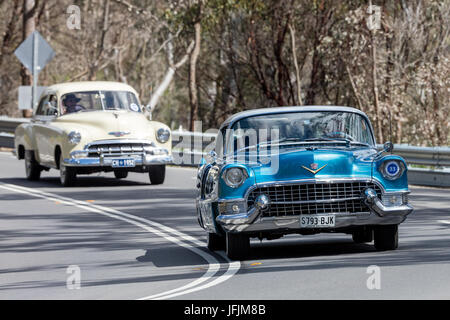 Vintage 1955 Cadillac Coupe de Ville coupé de la conduite sur des routes de campagne près de la ville de Birdwood, Australie du Sud. Banque D'Images