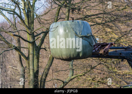 Transport de foin balles avec une vieille machine agricole. Banque D'Images