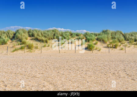 Paysage protégé, sur la plage des dunes de Hollande Banque D'Images