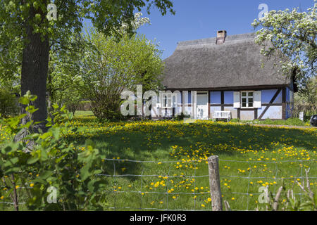 Maison sur l'île d'Usedom, Allemagne Banque D'Images