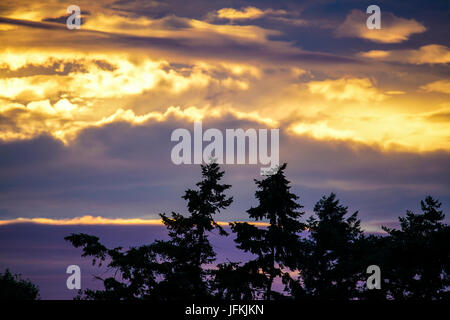 Tuesley Lane, Godalming. 1er juillet 2017. UK : Météo nuageux sur la Home Counties ce soir apporter un beau coucher du soleil. Coucher de soleil sur Godalming, Surrey. Credit : james jagger/Alamy Live News Banque D'Images