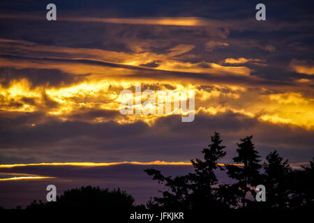 Tuesley Lane, Godalming. 1er juillet 2017. UK : Météo nuageux sur la Home Counties ce soir apporter un beau coucher du soleil. Coucher de soleil sur Godalming, Surrey. Credit : james jagger/Alamy Live News Banque D'Images