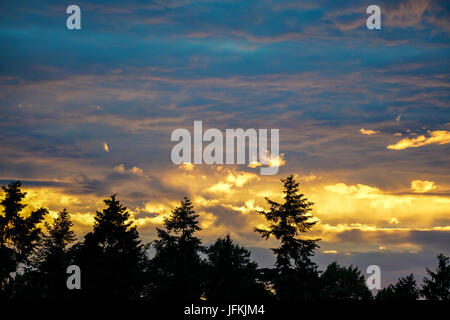 Tuesley Lane, Godalming. 1er juillet 2017. UK : Météo nuageux sur la Home Counties ce soir apporter un beau coucher du soleil. Coucher de soleil sur Godalming, Surrey. Credit : james jagger/Alamy Live News Banque D'Images