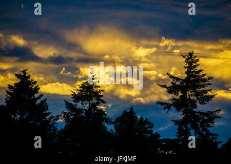 Tuesley Lane, Godalming. 1er juillet 2017. UK : Météo nuageux sur la Home Counties ce soir apporter un beau coucher du soleil. Coucher de soleil sur Godalming, Surrey. Credit : james jagger/Alamy Live News Banque D'Images