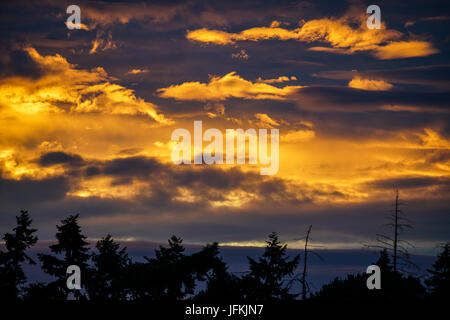 Tuesley Lane, Godalming. 1er juillet 2017. UK : Météo nuageux sur la Home Counties ce soir apporter un beau coucher du soleil. Coucher de soleil sur Godalming, Surrey. Credit : james jagger/Alamy Live News Banque D'Images