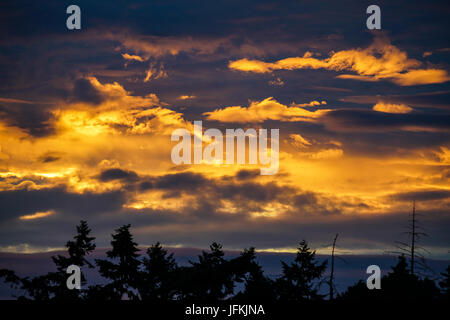 Tuesley Lane, Godalming. 1er juillet 2017. UK : Météo nuageux sur la Home Counties ce soir apporter un beau coucher du soleil. Coucher de soleil sur Godalming, Surrey. Credit : james jagger/Alamy Live News Banque D'Images