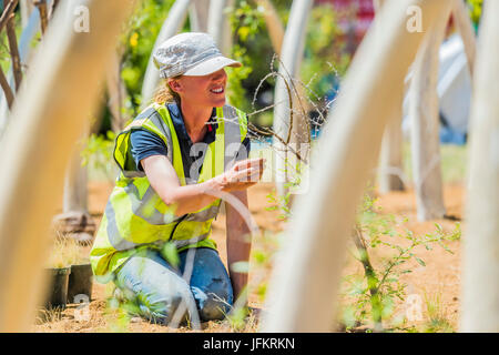 Hampton Court Palace, Londres, Royaume-Uni. 07 juillet, 2017. Pas à vendre jardin par Mark Whyte et Sharmayne Ferguson, de mettre en évidence le commerce illicite de l'ivoire - Préparatifs de la Hampton Court Flower Show, organisé par la Royal Horticultural Society (RHS). Dans le parc de l'hôtel Hampton Court Palace, Londres, 02 Juillet 2017 Crédit : Guy Bell/Alamy Live News Banque D'Images