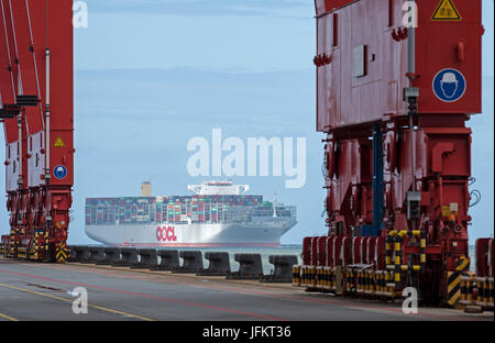 Wilhelmshaven, Allemagne. 07 juillet, 2017. Le nouveau porte-conteneurs OOCL 'Hong Kong' voiles pour la première fois dans l'JadeWeserPort à Wilhelmshaven, Allemagne, 02 juillet 2017. Le plus grand porte-conteneurs - avec une longueur d'environ 400 mètres et une largeur de 59 mètres - appartient à l'association "ligne d'expédition Ocean Alliance', les navires de qui visite chaque semaine certains ports en eau profonde allemand depuis mai. Photo : Ingo Wagner/dpa/Alamy Live News Banque D'Images