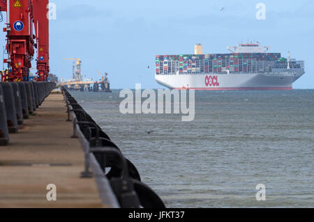 Wilhelmshaven, Allemagne. 07 juillet, 2017. Le nouveau porte-conteneurs OOCL 'Hong Kong' voiles pour la première fois dans l'JadeWeserPort à Wilhelmshaven, Allemagne, 02 juillet 2017. Le plus grand porte-conteneurs - avec une longueur d'environ 400 mètres et une largeur de 59 mètres - appartient à l'association "ligne d'expédition Ocean Alliance', les navires de qui visite chaque semaine certains ports en eau profonde allemand depuis mai. Photo : Ingo Wagner/dpa/Alamy Live News Banque D'Images