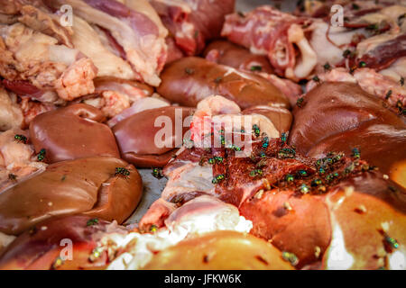 Festin de mouches sur la viande Banque D'Images