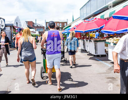 Montréal, Canada - le 28 mai 2017 : par produire des peuplements végétaux à l'extérieur au cours de journée ensoleillée au Marché Jean-Talon les agriculteurs avec les affichages Banque D'Images