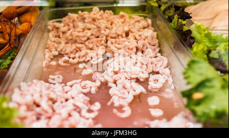 Libre de beaucoup de petites crevettes roses cuites sur l'affichage en magasin de fruits de mer Banque D'Images