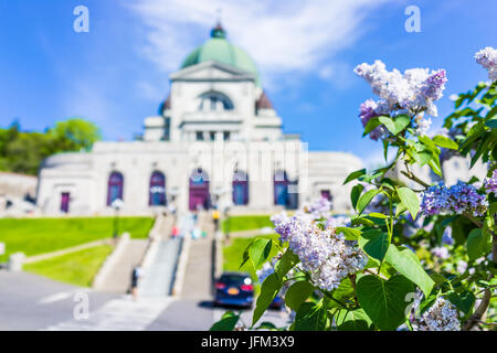 Montréal, Canada - le 28 mai 2017 : St Joseph's Oratory sur le mont Royal avec fleurs lilas mauve dans la région du Québec City Banque D'Images