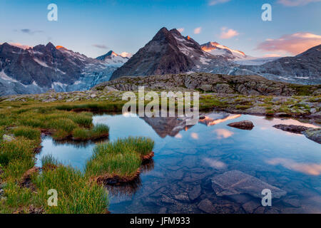 Carisolo, Genova, vallée du parc naturel Adamello-Brenta, province de Trento, Trentino Alto Adige, Italie, les trois Lobbie et glacier Adamello se reflètent au coucher du soleil dans un petit lac près de refuge Mandrone Banque D'Images