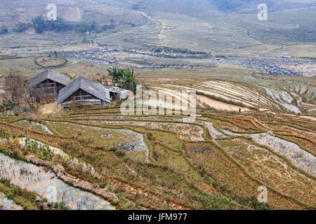 Maison isolée parmi les rizières en terrasses de Sapa au Vietnam du Nord Banque D'Images