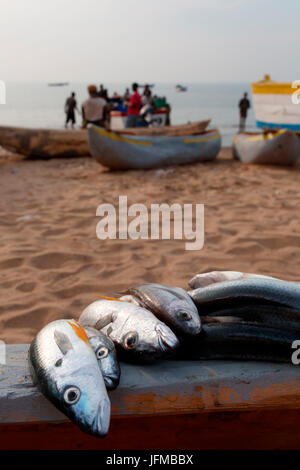 L'Afrique, Malawi, district de Salima, le marché aux poissons au lac Malawi Banque D'Images