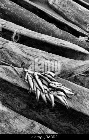 L'Afrique, Malawi, district de Salima, le marché aux poissons au lac Malawi Banque D'Images