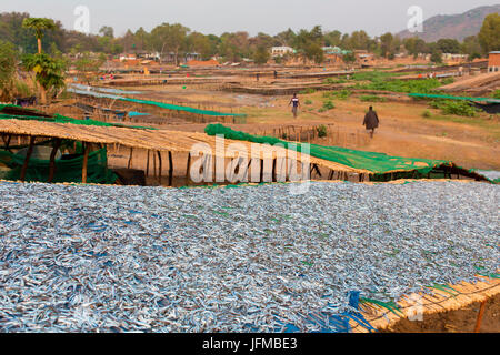 L'Afrique, Malawi, district de Salima, le marché aux poissons au lac Malawi Banque D'Images