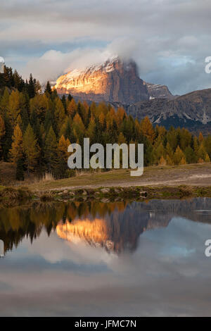 Laste Alm, Dolomites, Rocca Pietore, Padova, Veneto, Italie, Banque D'Images