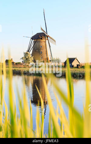 Moulin à vent traditionnel reflète dans le canal encadré par Molenwaard Kinderlijk au printemps herbe South Holland aux Pays-Bas l'Europe Banque D'Images