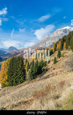 Passo Campolongo, Vénétie, province de Belluno, Italie, Europe Banque D'Images