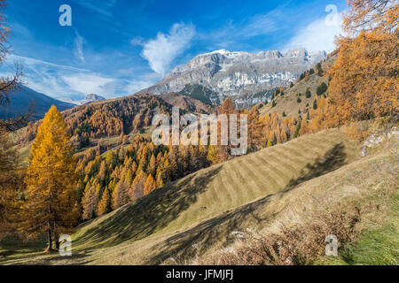 Passo Campolongo, Vénétie, province de Belluno, Italie, Europe Banque D'Images