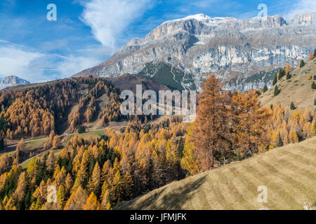 Passo Campolongo, Vénétie, province de Belluno, Italie, Europe Banque D'Images