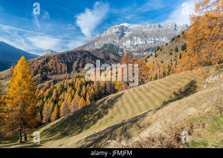 Passo Campolongo, Vénétie, province de Belluno, Italie, Europe Banque D'Images