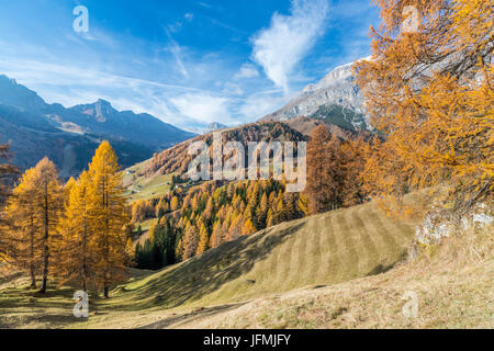 Passo Campolongo, Vénétie, province de Belluno, Italie, Europe Banque D'Images