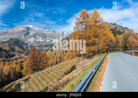 Passo Campolongo, Vénétie, province de Belluno, Italie, Europe Banque D'Images